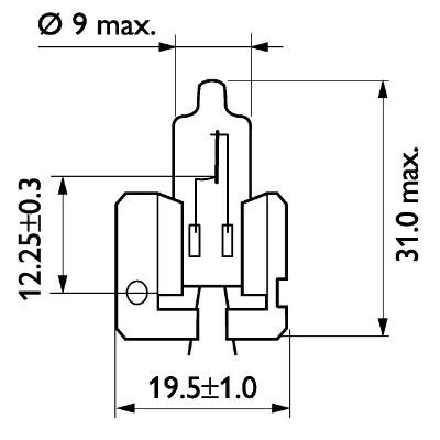 H2 Lámpara Halógena 12V 55W (2)